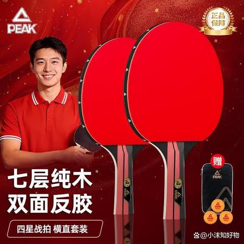 乒乓球拍哪个品牌好用又便宜?推荐你2026年性价比排名前十的优质型号!